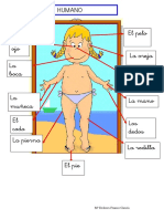 El Cuerpo Humano 1º PDF