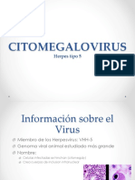 Exposición de citomegalovirus.pptx