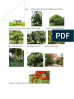 trees.docx