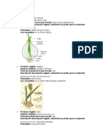 HORTALIZAS p1