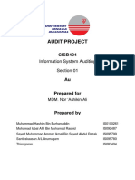 Audit Project