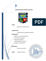 1 INFORME CAP ANIOXIDANTE LESLY+CAMILA+CHIO+ MACA