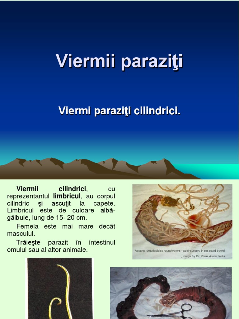 Viermii Cilindrici Si Inelati | PDF
