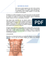ANATOMIA_DEL_HIGADO[1].pdf
