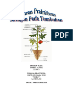 Download Laporan Praktikum Jaringan Pada Tumbuhan by Rosela Part II SN359157681 doc pdf