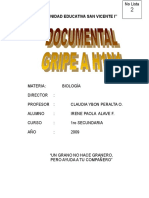 investigacion de la AH1N1