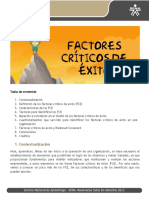 Factores Críticos de Éxito