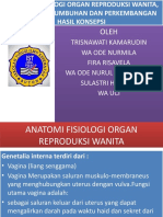 Organ Reproduksi