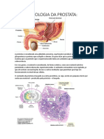 Histologia Da Prostata