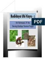 PP Ubi Kayu - 2 PDF