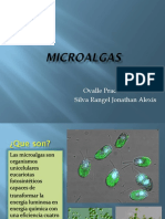 Micro Algas