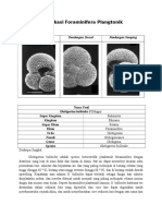 Klasifikasi Foraminifera Plangtonik