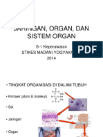 Jaringan, Organ, Dan Sistem Organ