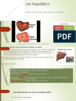 Cáncer Hepático 2.7