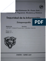 ActividadEsteganografia(rev).pdf