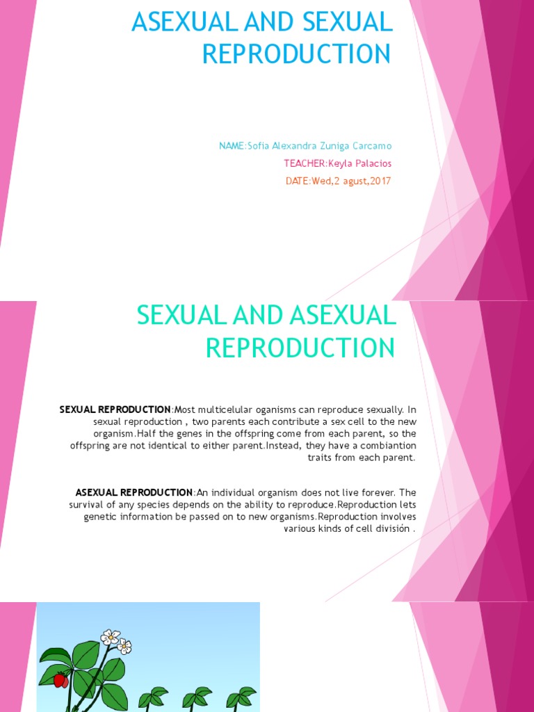 Asexual and Sexual Reproduction | PDF