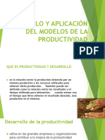 Desarrollo y Aplicación Del Modelo de La Productividad