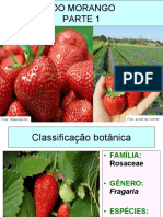 cultivodomorangoparte1-141103103835-conversion-gate01.pdf