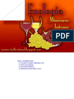 95077575-Minicurso-Intensivo-de-Enologia.pdf
