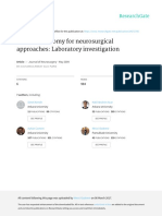 Window Anatomy PDF