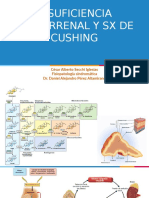 03.- Insuficiencia Suprarrenal y Sx Cushing