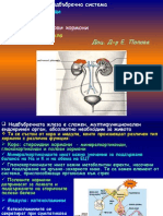 Adrenal Lecture