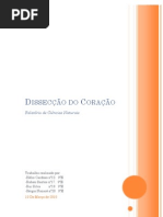 Relatório Dissecção do Coração