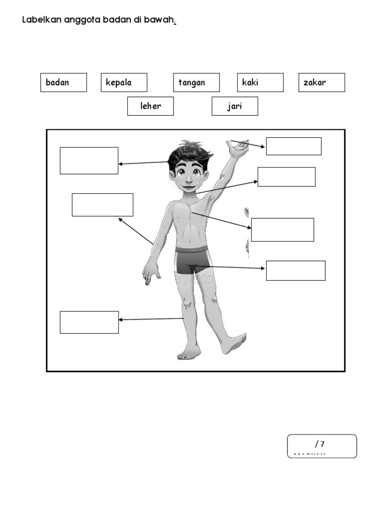 Anggota Badan Latihan Pdf