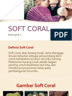 Soft Coral