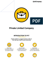 Private Limited Company