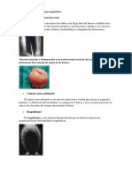 Enfermedades Del Sistema Esquelético