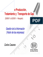 Produccion y Transporte de Gas Natural