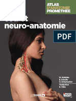 Tete, Cou Et Neuro-Anatomie