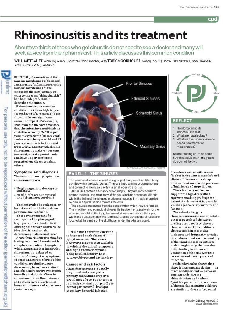 Understanding Rhinosinusitis Treatment | PDF | Antibiotics | Health ...