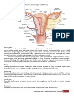 ANATOMISISTEMREPRODUKSIPEREMPUAN