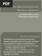 The Nervous System-Sensory