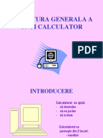 Structura Calculatorului1