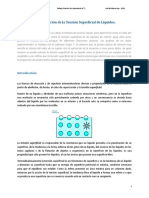 Lab 2 - Determinación de La Tension Superficial de Liquidos