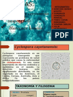 Ciclospora Cayetanesis