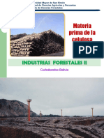 Abastecimiento Materia Prima Celulosa PDF