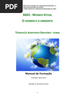 6665 Manual Formação