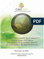 Límite de Cambio Aceptable Capacidad de Carga MAPI - Informe Final 05-05-11