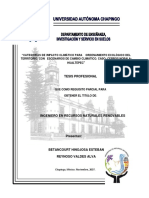 Tesis Ordenamiento Ecológio Chapingo.pdf