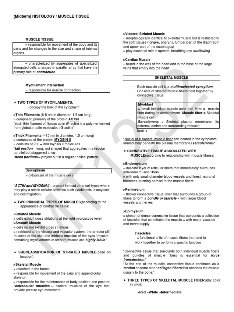 プロテイン 筋 トレ 中 センタリング 英語 Typo Designs