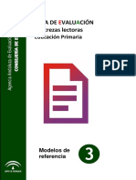 Guia de Evaluacion de Destrezas Lectoras PDF