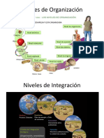 Niveles de Organización y Ciclos Biologicos