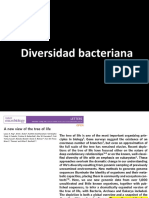 Diversidad 1. Introducción