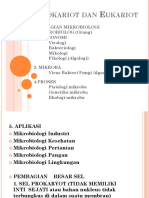 2. Prokariot dan Eukariot.ppt