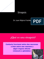 Sinapsis