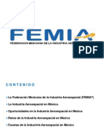 Femia Presentacion Tipo Esp PDF